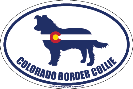 Colorado Breed Sticker Border Collie