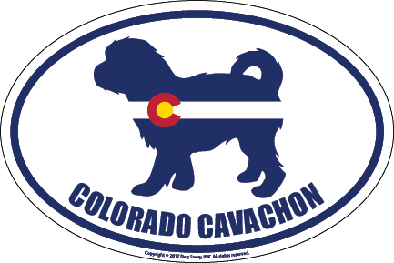 Colorado Breed Sticker Cavaschon